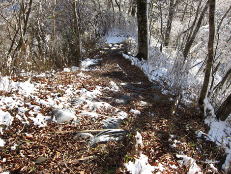 20191129hike (436)